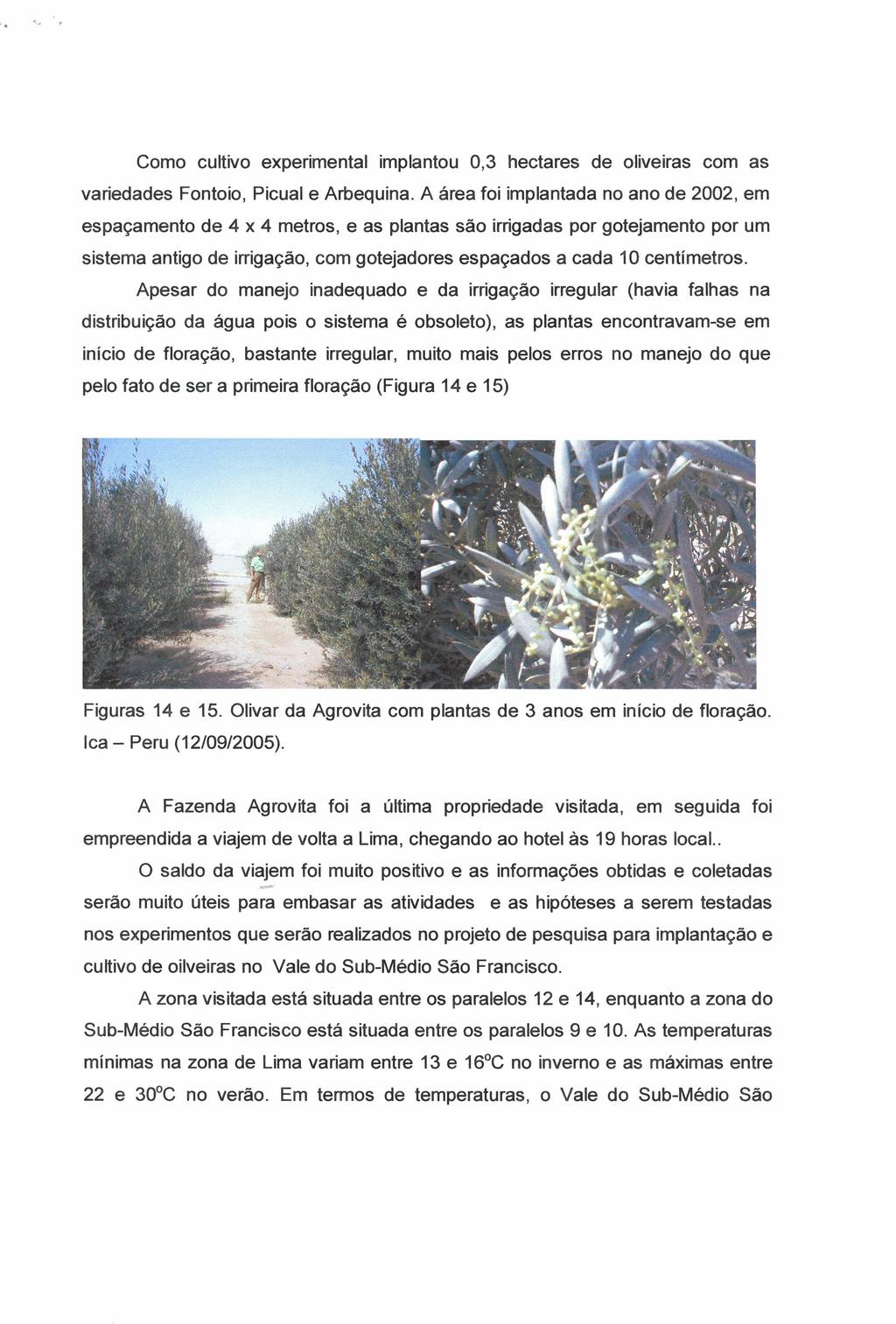 Como cultivo experimental implantou 0,3 hectares de oliveiras com as variedades Fontoio, Picual e Arbequina.
