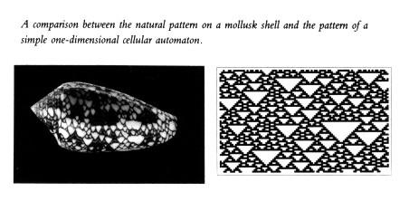 Automata celulares de Wolfram Statistical Mechanics of Cellular Automata, RMP 55, 601 (1983) Sistema físico composto por unidades
