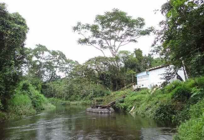 28 m S Fitofisionomia e Estágio sucessional Floresta de Transição Restinga-Encosta; Floresta Aluvial - Margens direita e esquerda, sentido foz Espécies registradas às margens do rio (Captação da