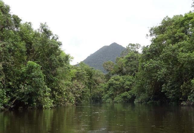 Ponto R31 Município - Localização Bertioga Rio Itapanhaú, Km 31,0 Tipo de Intervenção Redução de vazão do rio Itapanhaú Coordenadas Geográficas 23 k 390760.