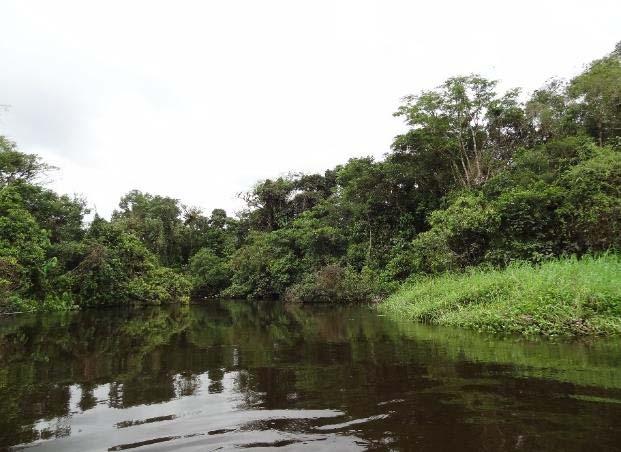 Ponto R30 Município - Localização Bertioga Rio Itapanhaú, Km 30,0 Tipo de Intervenção Redução de vazão do rio Itapanhaú Coordenadas Geográficas 23 k 390471.74 m E 7369124.