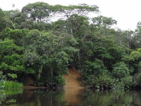 pescadores o nível d água estava elevado neste