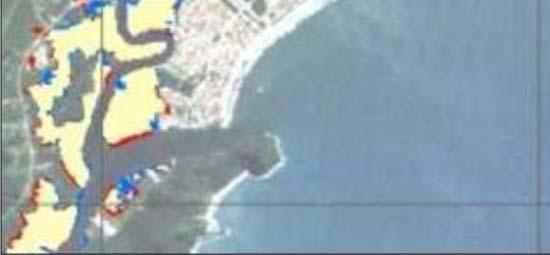 Figura 3. Variações da área de manguezais do Rio Itapanhaú entre 1985 e 2010 (Araújo,2010). Legenda: Em vermelho decréscimo, em azul acréscimo e em amarelo sem alteração. Conf.