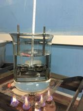 O conjunto com as duas amostras é inserido em um béquer contendo água e aquecido a uma taxa de 5 +/- 0,5 C por minuto.