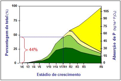 Seria a absorção deficiente de P mais um fator a restringir o potencial produtivo do