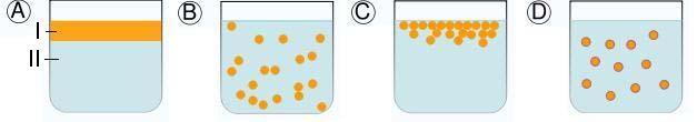 Emulsões A) Dois líquidos imiscíveis separados em duas fases. B) Emulsão da fase I dispersa na fase II.