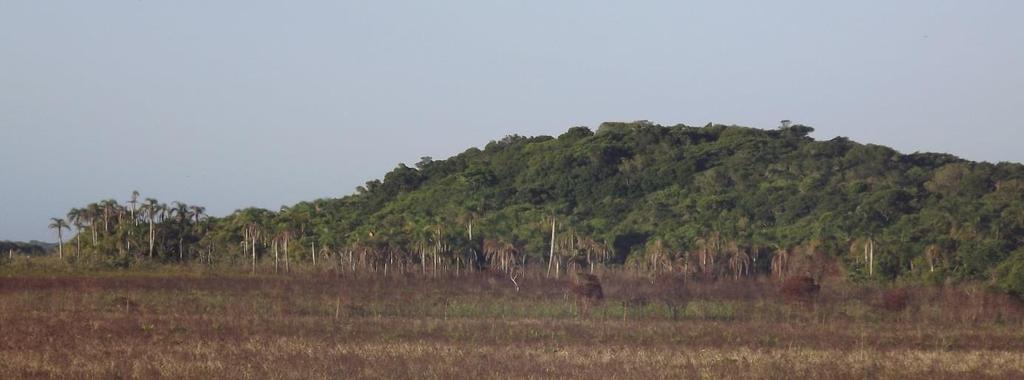 Setor 5 Engloba um cinturão de matas arenícolas e palustres, com alguns trechos de campos arenosos, dunas e banhados de pequena dimensão; inclui a mata da encosta das dunas/barreira pleistocênica