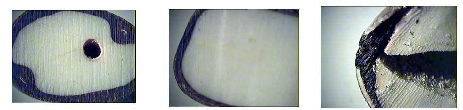 Na semente de jatobá é possível observar pontos de interseção da casca e do miolo, o que não acontece com a semente de dedo-de-índio, que tem uma separação muito nítida, e o olho-de-boi, que além ter