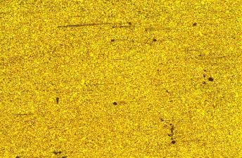 Microscopia óptica do aço SAE 1020 trefilado a frio.