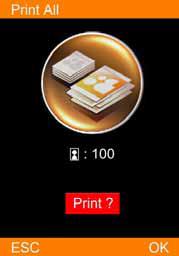 C A opção Print All (Imprimir tudo) Escolha o menu PHOTO (Foto) e prima [OK] (OK) para continuar.