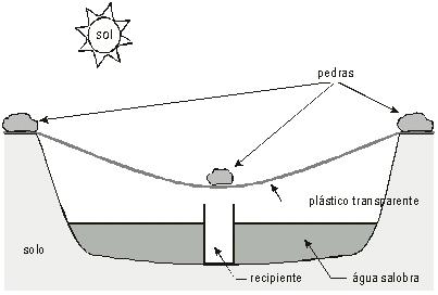 Qual o sentido desses versos? 11) A figura a seguir mostra um sistema utilizado em regiões desérticas da Austrália.