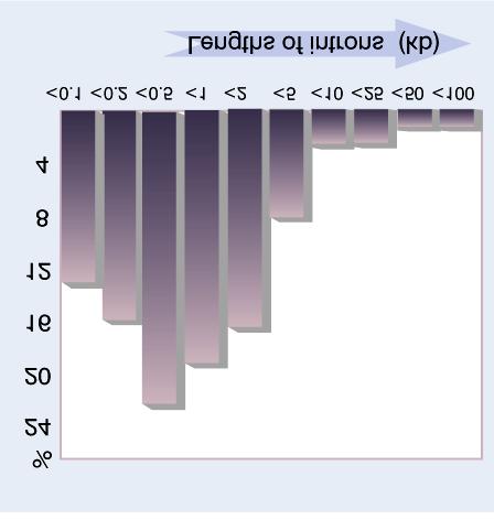 Tamanho de introns em