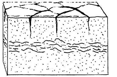 Introdução à RAA Figura 1 Esquema apresentando as feições típicas de fissuras em mapa na superfície e