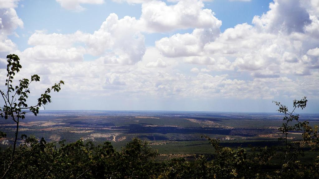 COMPLEXO EÓLICO SERRA DA BABILÔNIA Localização: Várzea Nova e Morro do Chapéu, BA Capacidade Instalada: 223,25 MW (8 SPE s) Aerogeradores: 95 x Wobben Enercon 2.