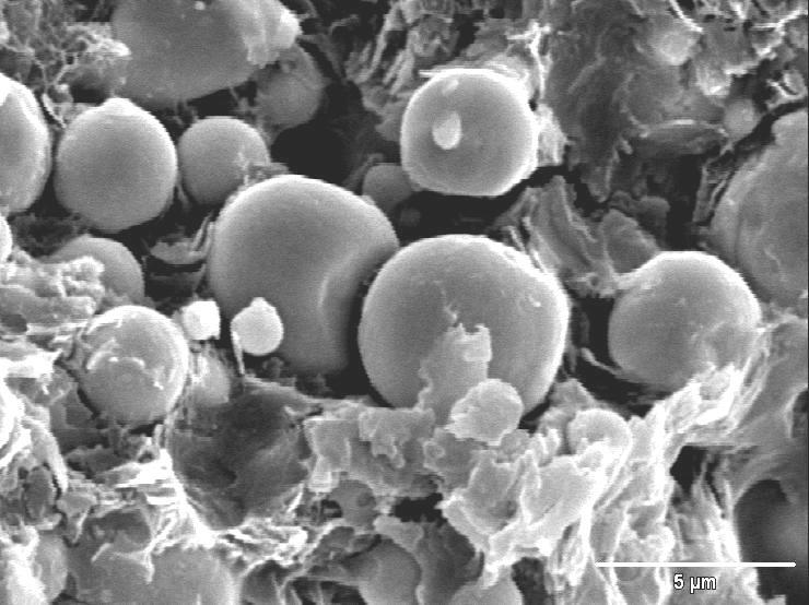 Figura 8: Micrografia da peça após extração por imersão em solvente.