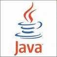 Java Standard Edition (JSE) 13.