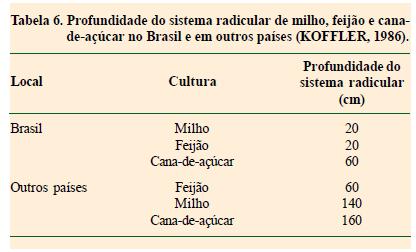 MANEJO QUÍMICO DO SOLO: Calagem O maior desenvolvimento do sistema radicular de uma planta irá se refletir: - maior resistência à seca, - maior absorção de nutrientes - maior produtividade.