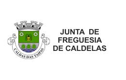 APOIOS INSTITUICIONAIS 4 COMISSÃO DE HONRA Fernando Claro Presidente da Federação de Patinagem de Portugal José Paulo Maia Matias Presidente