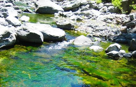 As nossas 10 melhores levadas da Madeira A Ilha da Madeira está repleta de percursos fascinantes pela natureza e escolher as 10 melhores é, sem dúvida, um