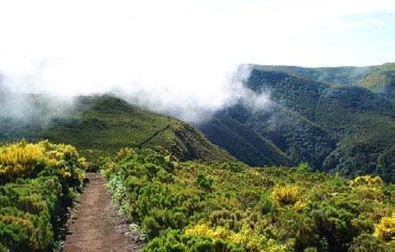 Top 10: As caminhadas mais populares LEVADA DOS CEDROS (PR14) Um caminho mágico em plena harmonia com a natureza, envolvidos por uma grande variedade de