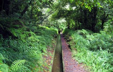 12 LEVADA DO REI (PR18) Esta é uma daquelas caminhadas que nos enchem os olhos e a alma, envolvendo-nos na natureza verde esmeralda que, de vez em quando,