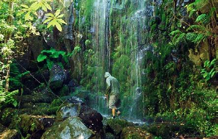 62 VEREDA DO FANAL (PR13) Com um misto de paisagens e características do terreno, esta caminhada é uma verdadeira aventura pela natureza.