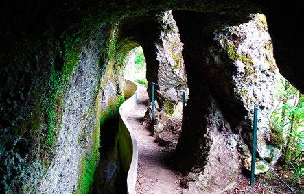 pág.14 LEVADA DOS TORNOS BOAVENTURA Num dos lugares mais recônditos da Ilha da Madeira, tem início este percurso que nos leva a conhecer a origem da