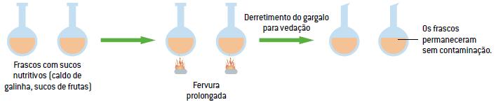 EXPERIMENTO SPALLANZANI Na montagem experimental de Spallanzani, que