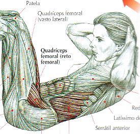 flexores do quadril Testes de potência abdominal Considerações Importantes Maior sobrecarga