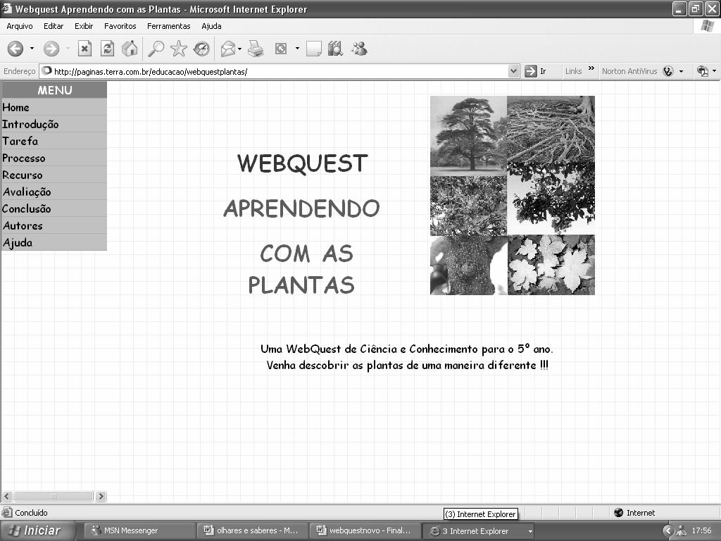 Ao fim do desenvolvimento da webquest utilizou-se uma grelha onde cada item foi pontuado para que desta forma tenhamos uma avaliação do resultado global das potencialidades oferecidas. 2.