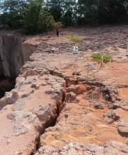 Para melhor entender os processos atuantes na área se fez necessário a identificação das espécies vegetais no entorno, na encosta e no interior das incisões, onde foram identificadas as seguintes