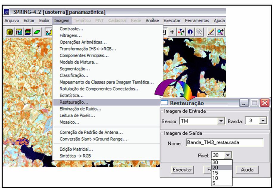 sentido, o presente trabalho teve como objetivo avaliar potencial de imagens Landsat/TM restauradas com pixels de 20