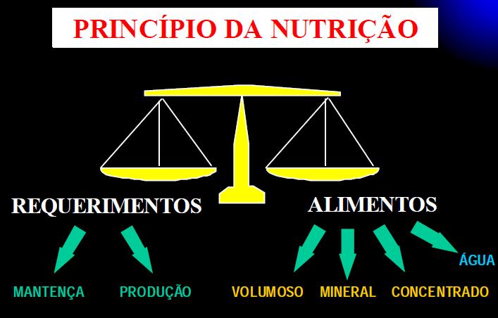 leiteiros 29