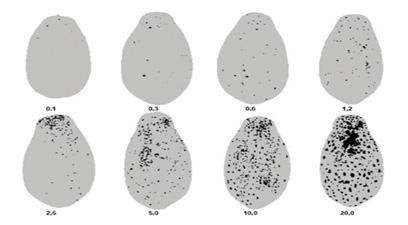 402 L. F. BARRETO et al. FIGURA 1: Escala de notas para avaliação da severidade da variola em folhas de mamoeiro.