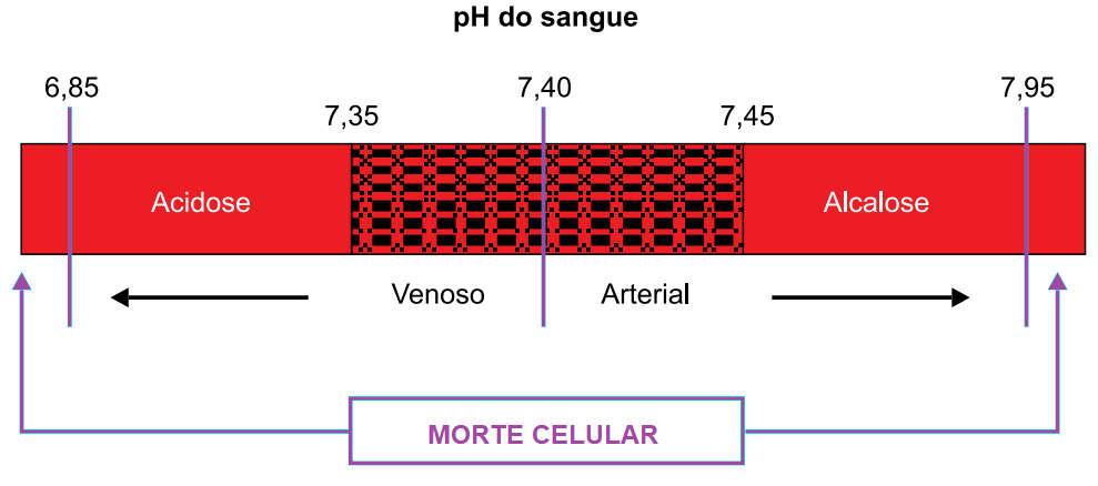 08. p do sangue de mamíferos é um reflexo do estado do balanço ácido-base do corpo.