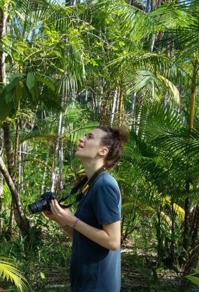 Bibliografia 1. Brondizio, E. S. The Amazonian Caboclo and the Açaí Palm: Forest Farmers in the Global Market. (The New York Botanical Garden Press, 2008). 2. Diretoria de Pesquisas.