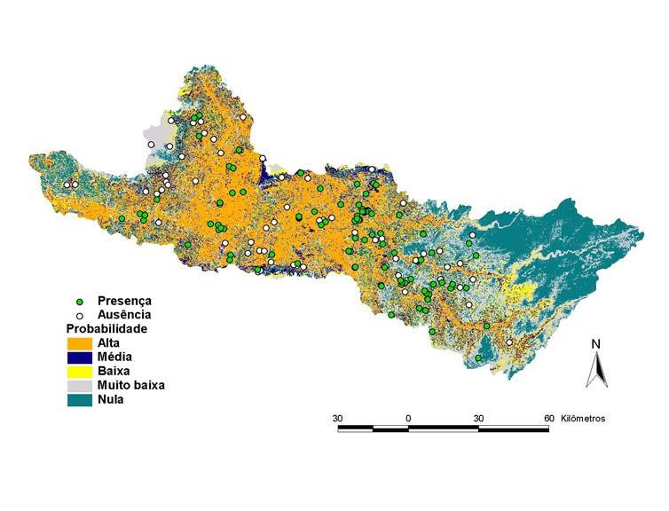 6. Exemplos DISTRIBUIÇÃO ESPACIAL DA