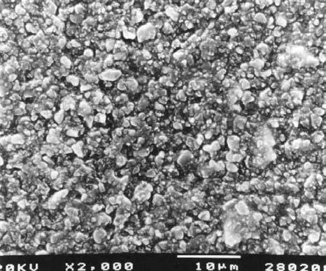 Discussão 134 de vidro alcalino (desenvolvido e patenteado pela Vivadent), vidro de bário-alumínio-fluor-silicato, trifluoreto de itérbio e dióxido de silício (Fig. 13).