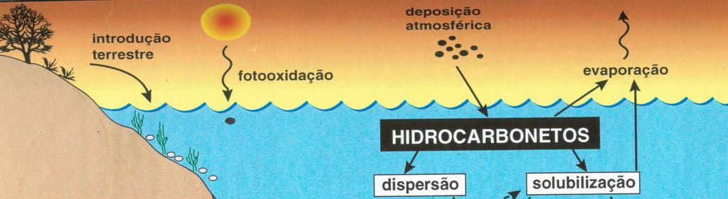 Petróleo no meio ambiente aquático 29 Uma das fontes de HPAs para os oceanos é a deposição atmosférica.