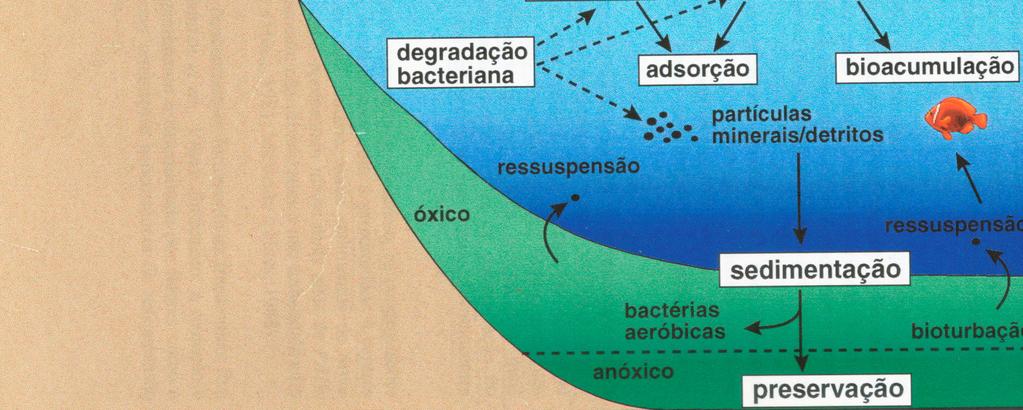 Pode haver também solubilização de compostos PUC-Rio - Certificação Digital Nº 0410380/CA gasosos através da interface atmosfera-água. Figura 2.