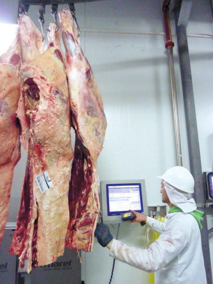 Fortalecendo o processamento de carnes Com mais de trinta anos de parceria no setor alimentício, e um contínuo comprometimento com a