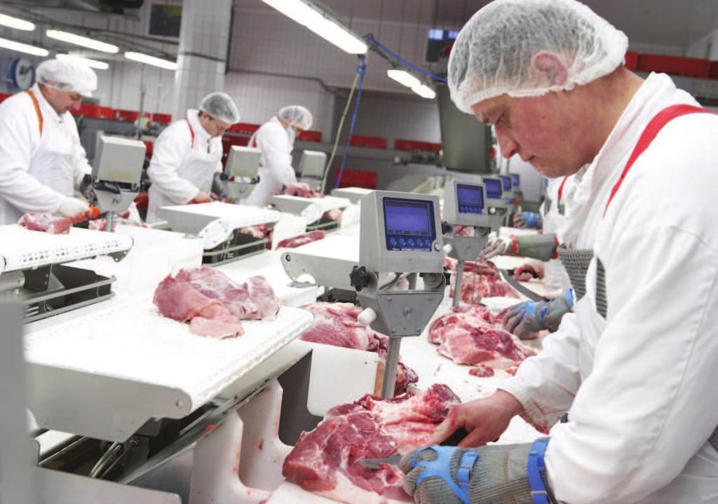 Com o Innova, as empresas processadoras de carnes são capazes de: Controlar a produção Fazer o monitoramento em tempo real Melhorar a