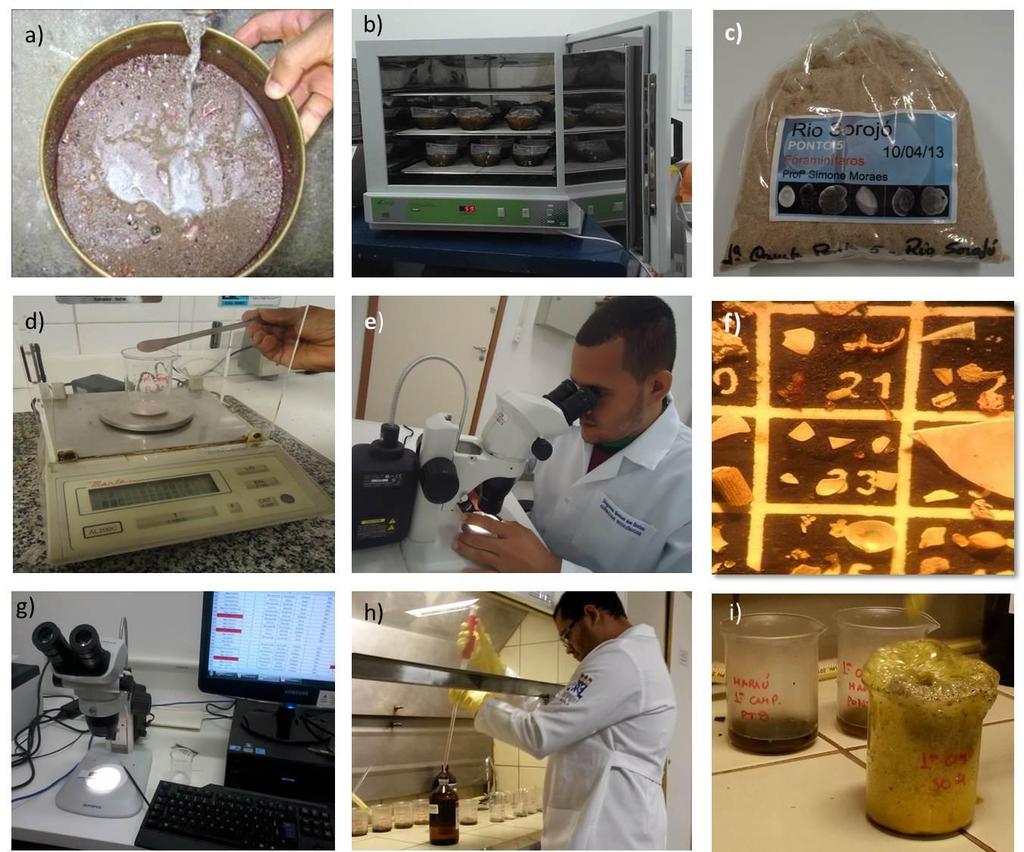 134 6) Briozoário Ramificado Fragmentos de colônias de briozoários eretos; 7)Briozoário Incrustante Fragmentos de colônias de briozoários incrustantes; 8) Porífero Fragmentos ou espículas inteiras de