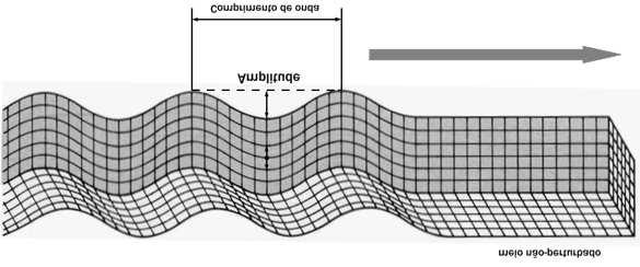 Há dois grupos de ondas sísmicas: as ondas de corpo (body waves) e as ondas de superfície (surface waves).