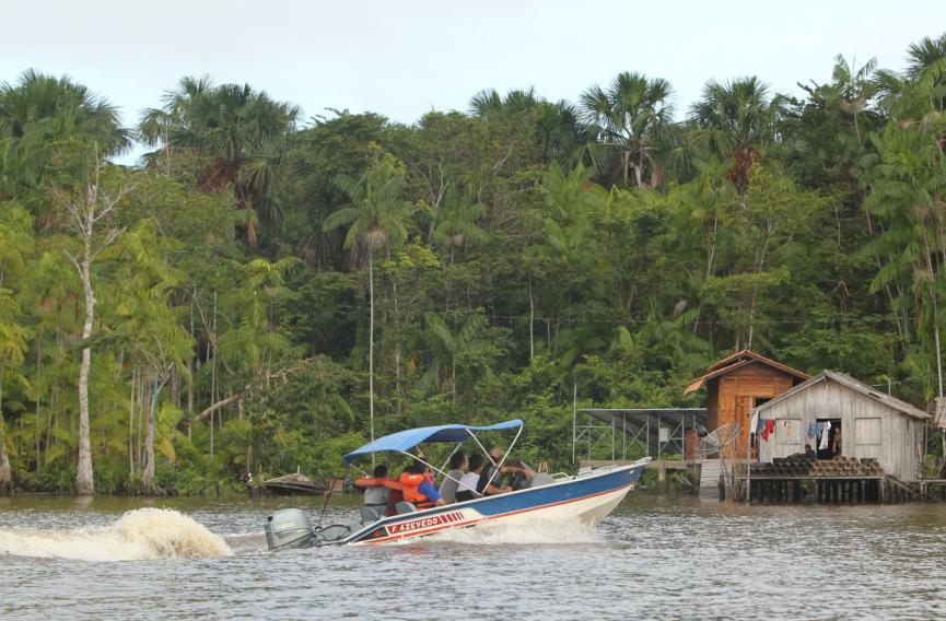 Projetos Pilotos de Sistemas