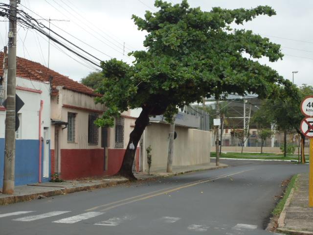 vento tração