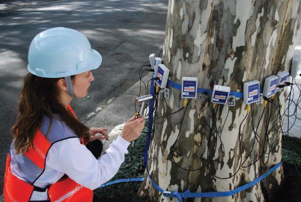 Projeto Ame Jardins (2200 árvores) Manejo Nível de alerta - nº árvores (%) Mínimo Máximo Inclinação do fuste 34 (2) 5 (<1) Monitoramento Biodeterioração 440 (20) 54 (2) 1ª bifurcação 10 (<1) 5 (<1)