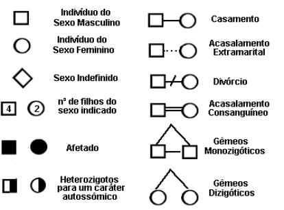 Heredograma Representação