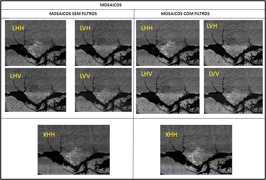 Nesta etapa foram gerados cincos mosaicos de imagens referentes às polarizações LHH, LVV, LHV, LVH da banda L e XHH da banda X totalizando 4 mosaicos da banda L e 1 mosaico da banda X.
