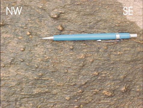 GEOLOGIA ESTRUTURAL Figura 3.17 Lineação de estiramento em Granada-clorita-quartzo xisto e feldspato estirados na direção NW-SE e granada rotacionada no sentido destral e de carácter sin-tectônico.